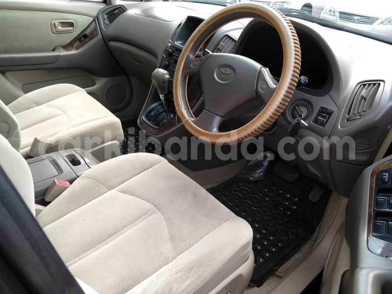 Big with watermark 64753292 1350591021755633 7515248141482852352 n