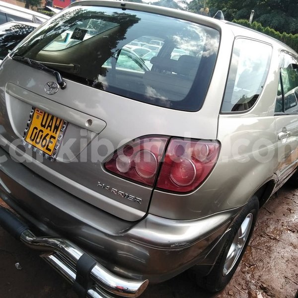 Big with watermark 64571641 1350590945088974 7343650608731127808 n