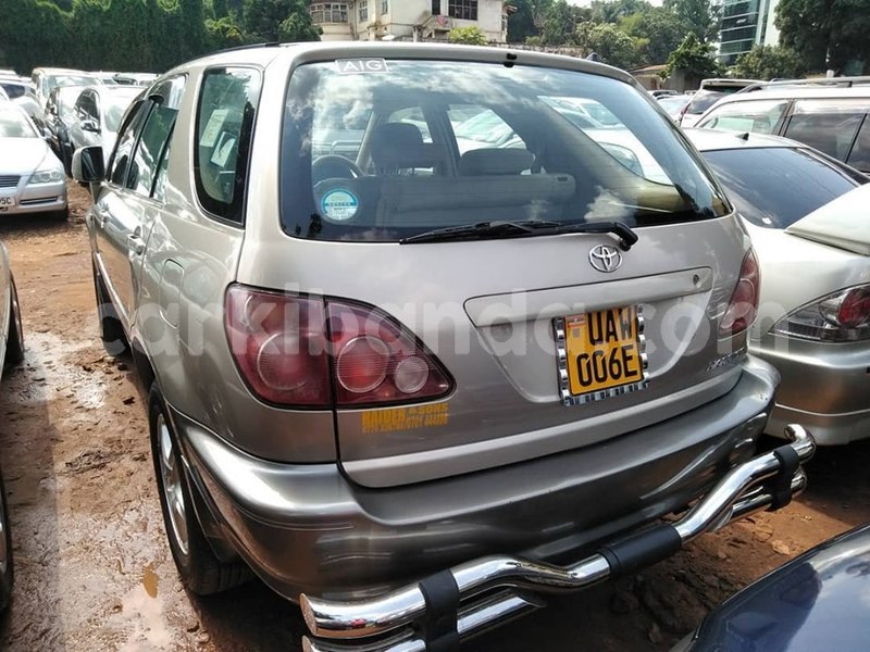 Big with watermark 64884263 1350590901755645 5588812922471055360 n