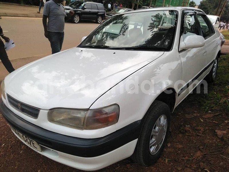 Big with watermark 64927712 1350587351756000 2325276602356727808 n