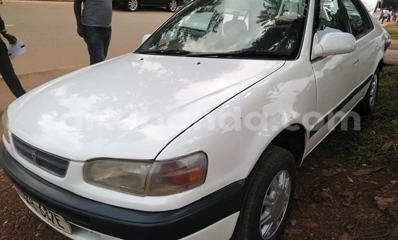 Buy Used Toyota Corolla White Car in Kampala in Uganda Buy Used Toyota Corolla White Car in Kampala in Uganda
