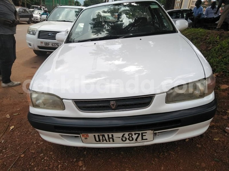 Big with watermark 65280633 1350587298422672 8569494194098274304 n