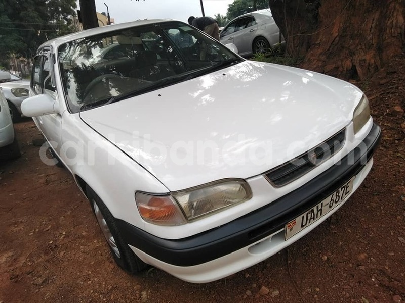 Big with watermark 65137251 1350587065089362 1103195734758391808 n