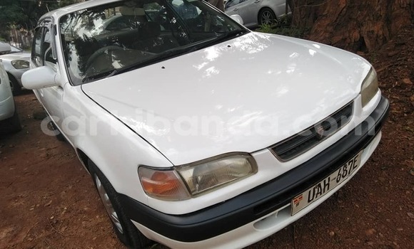 Buy Used Toyota Corolla White Car in Kampala in Uganda Buy Used Toyota Corolla White Car in Kampala in Uganda