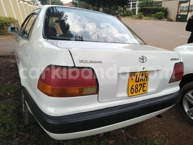 Big with watermark 64789512 1350587018422700 3763519518945574912 n