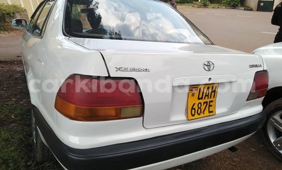 Buy Used Toyota Corolla White Car in Kampala in Uganda Buy Used Toyota Corolla White Car in Kampala in Uganda