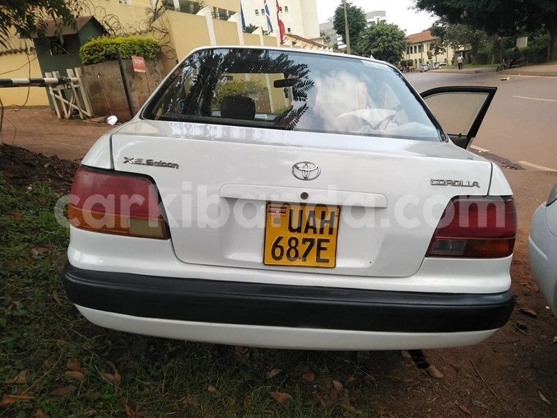 Big with watermark 64603685 1350586945089374 6881975820940738560 n