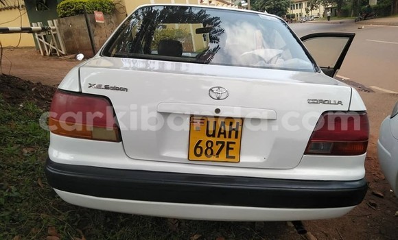 Buy Used Toyota Corolla White Car in Kampala in Uganda Buy Used Toyota Corolla White Car in Kampala in Uganda