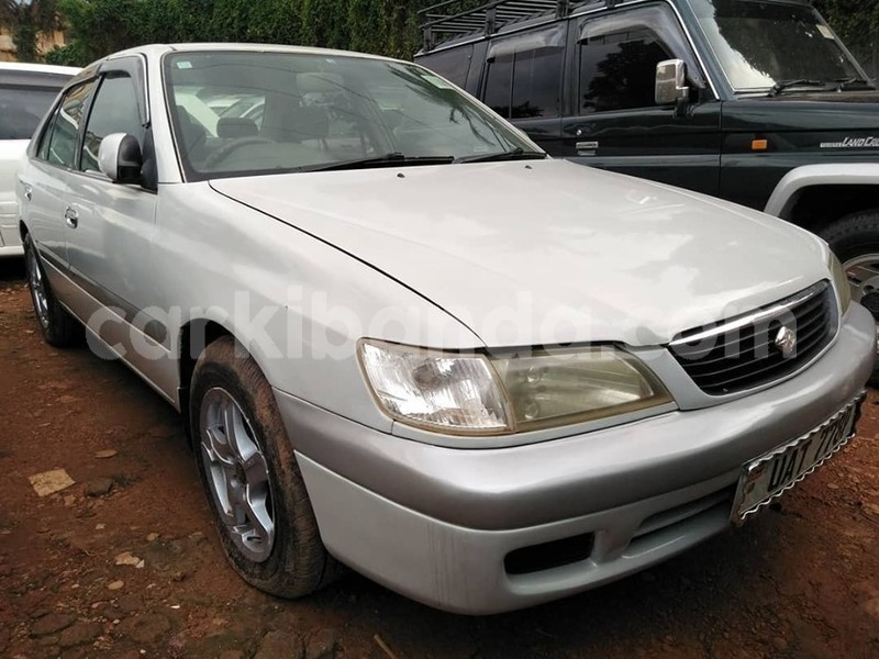 Big with watermark 64907149 1349461121868623 440222877845815296 n