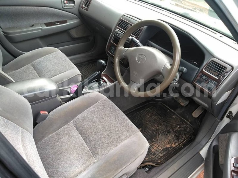 Big with watermark 64471744 1349460998535302 1928569250822225920 n 1