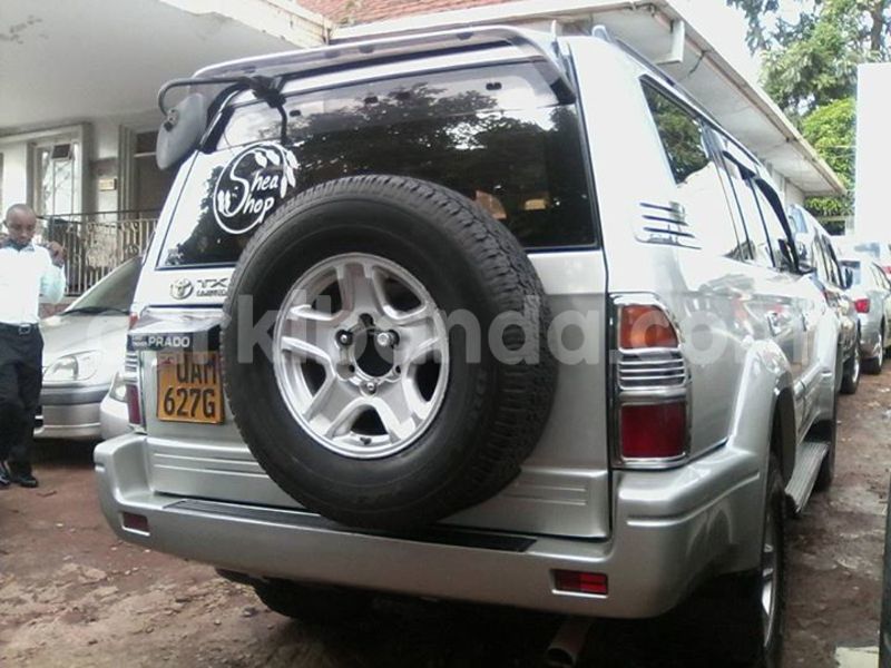 Big with watermark 14138662 1746685915580649 9078383618492148529 o