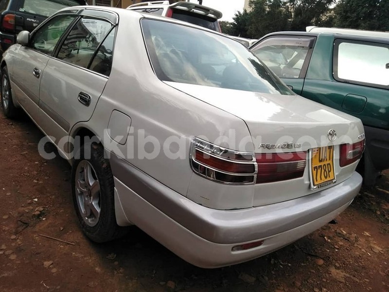 Big with watermark 64377805 1349461038535298 2984852792973197312 n