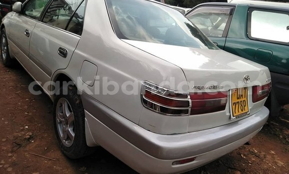 Buy Used Toyota Premio Silver Car in Kampala in Uganda Buy Used Toyota Premio Silver Car in Kampala in Uganda
