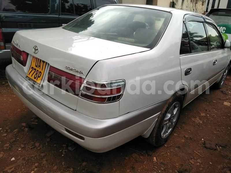 Big with watermark 65016669 1349460935201975 6148964867907780608 n