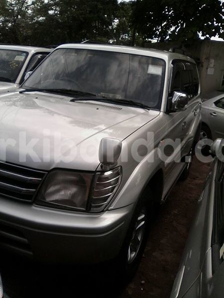 Big with watermark 14368725 10210707138497836 6301935212738049887 n