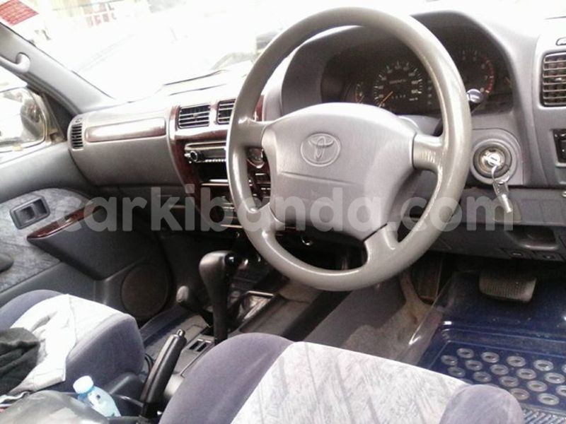 Big with watermark 14344831 10210707138657840 8287266099148065103 n