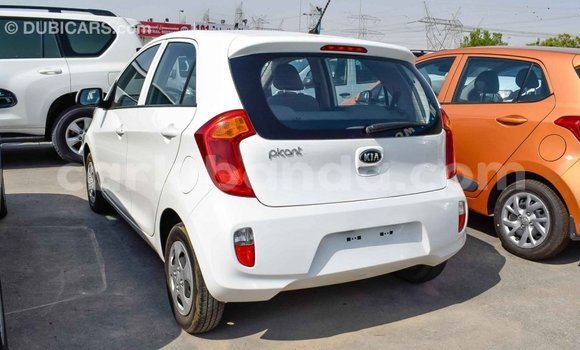 Buy Import Kia Picanto White Car in Import - Dubai in Uganda Buy Import Kia Picanto White Car in Import - Dubai in Uganda