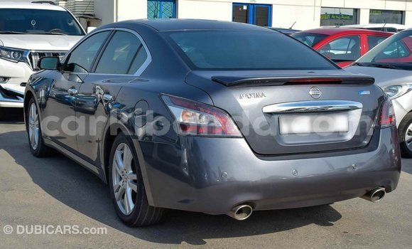 Gura Imported Nissan Maxima Other Imodoka i Import - Dubai mu Uganda Gura Imported Nissan Maxima Other Imodoka i Import - Dubai mu Uganda