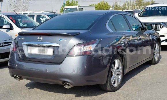 Gura Imported Nissan Maxima Other Imodoka i Import - Dubai mu Uganda Gura Imported Nissan Maxima Other Imodoka i Import - Dubai mu Uganda