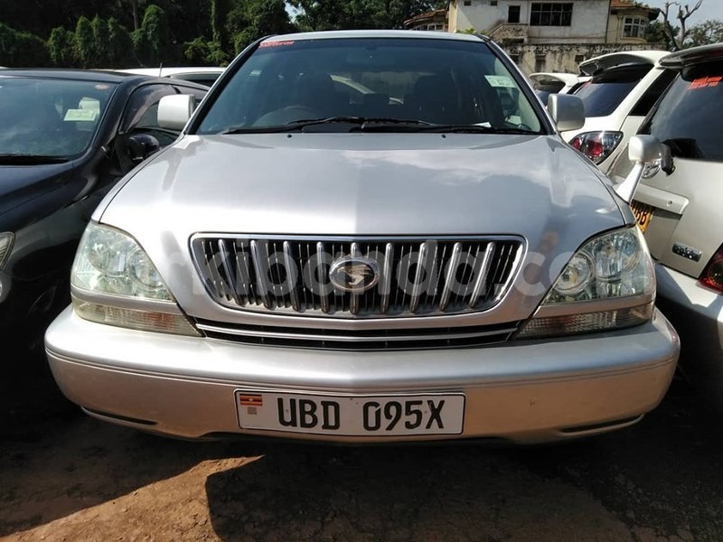 Big with watermark 66260094 1360322890782446 7166353504053755904 n