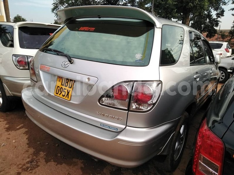 Big with watermark 65546781 1360322934115775 4959800788579778560 n