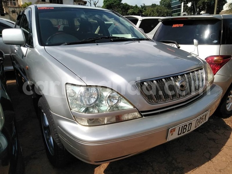 Big with watermark 65549872 1360322704115798 7850640462590246912 n