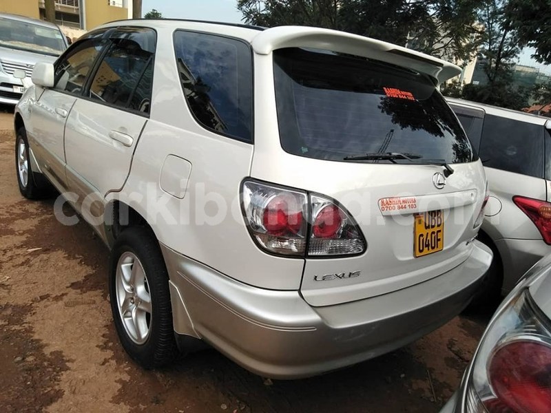 Big with watermark 64788203 1360322090782526 7049039581919838208 n