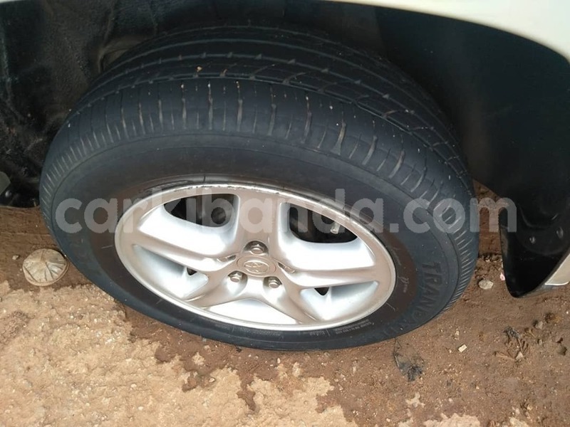 Big with watermark 65466411 1360322020782533 8823289137378361344 n