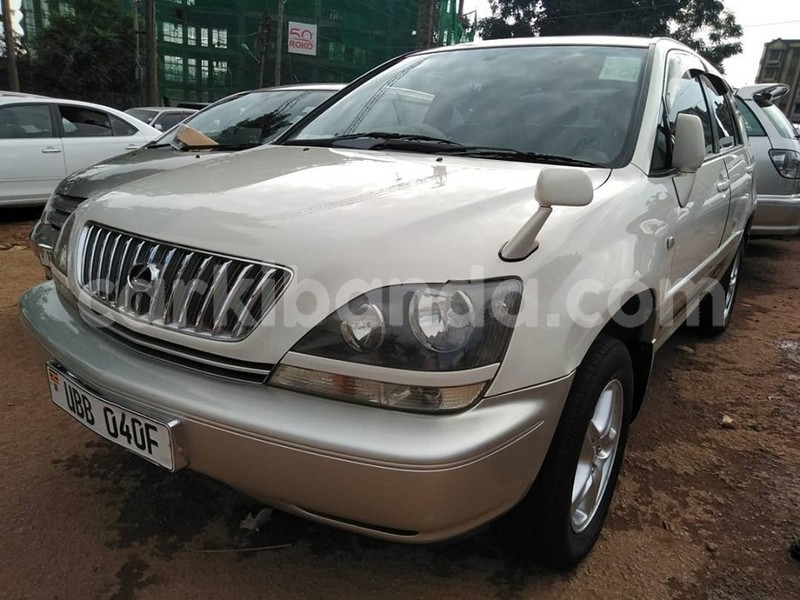 Big with watermark 66265168 1360321907449211 5557361808970350592 n