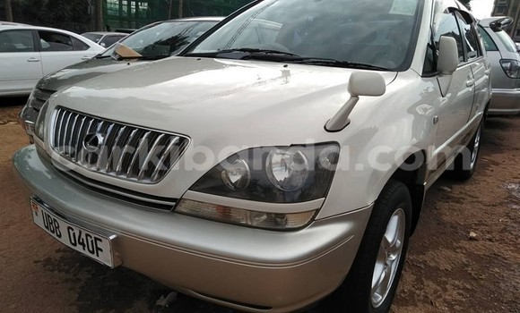 Buy Used Toyota Harrier White Car in Kampala in Uganda Buy Used Toyota Harrier White Car in Kampala in Uganda