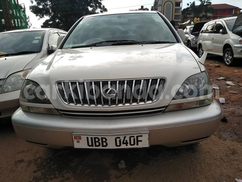 Big with watermark 65642993 1360321814115887 401530200375951360 n