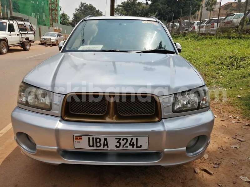 Big with watermark 65598147 1360174974130571 3335303204995858432 n