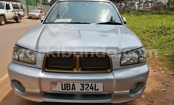Buy Used Subaru Forester Silver Car in Kampala in Uganda Buy Used Subaru Forester Silver Car in Kampala in Uganda