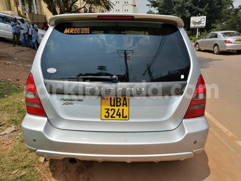 Big with watermark 66110378 1360175020797233 7624507213230374912 n