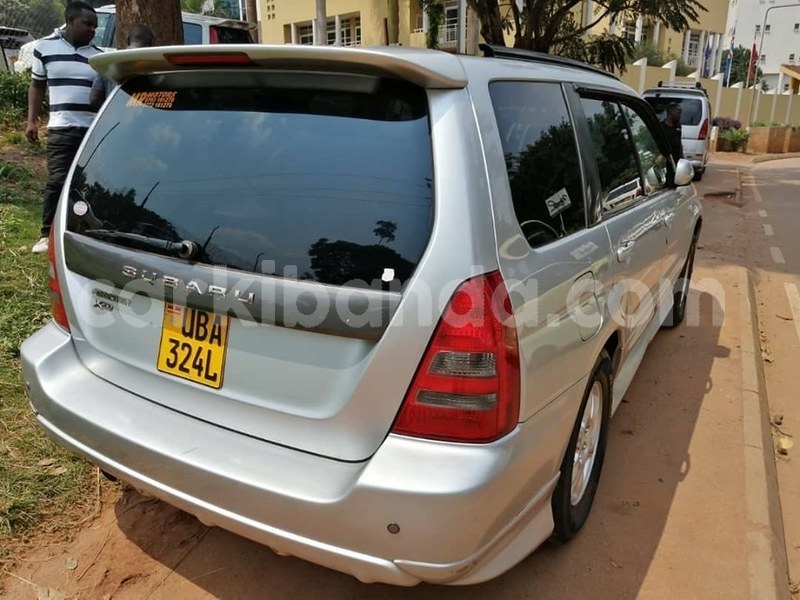 Big with watermark 66138272 1360174900797245 3531236301619593216 n