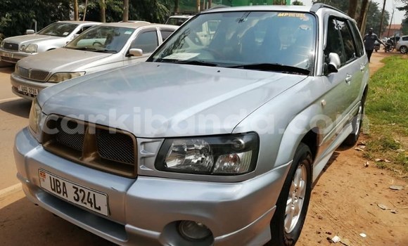 Buy Used Subaru Forester Silver Car in Kampala in Uganda Buy Used Subaru Forester Silver Car in Kampala in Uganda