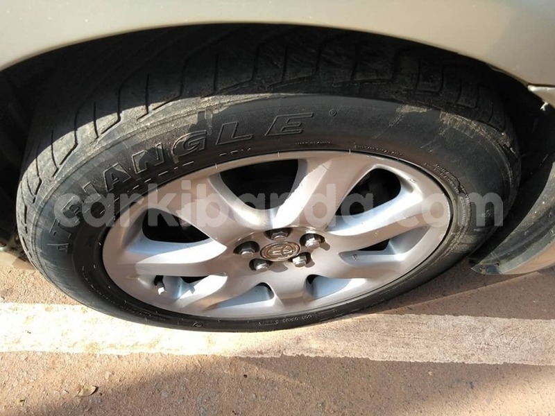 Big with watermark 65785647 1360173400797395 3065901346994520064 n