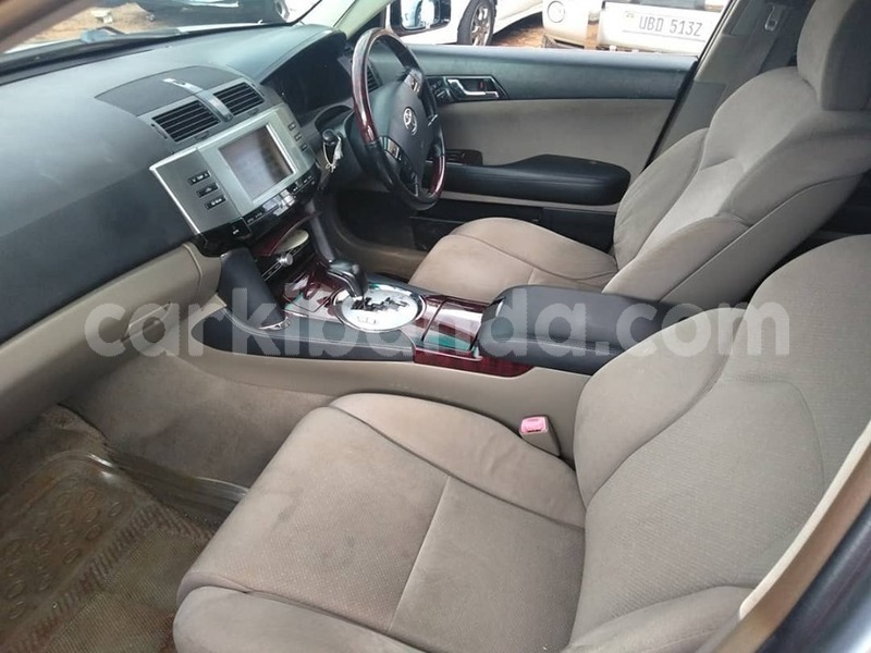 Big with watermark 65702784 1357173247764077 4403325829069668352 n 1