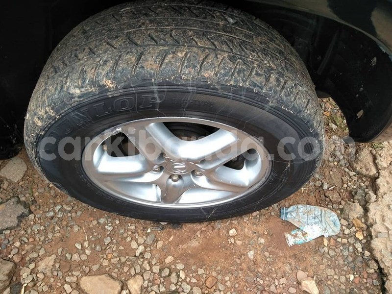 Big with watermark 65056329 1355168464631222 5675865359735848960 n