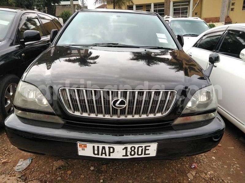 Big with watermark 65256973 1355168424631226 3499214000418193408 n