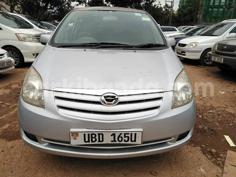 Big with watermark 64972816 1355167711297964 2843709782395715584 n