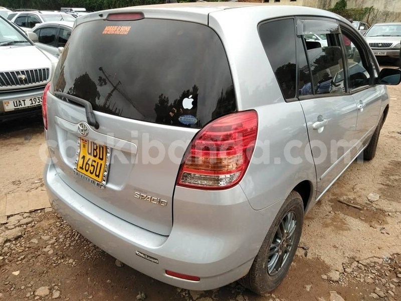 Big with watermark 65264335 1355167627964639 2245340981735981056 n