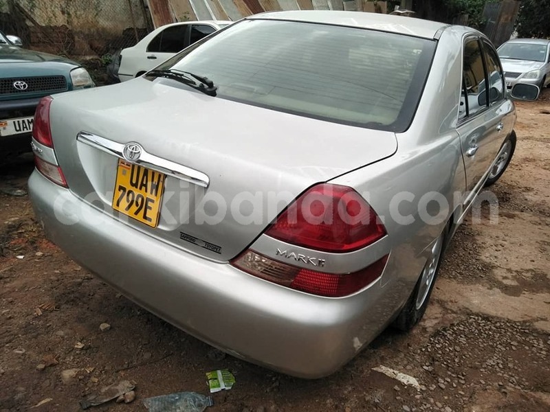 Big with watermark 65258621 1355104174637651 4499032341968060416 n