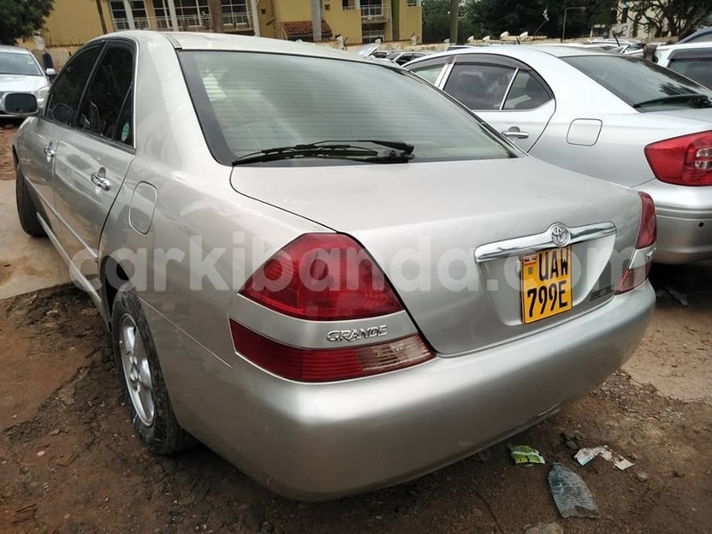 Big with watermark 65304024 1355104127970989 1998974966078373888 n