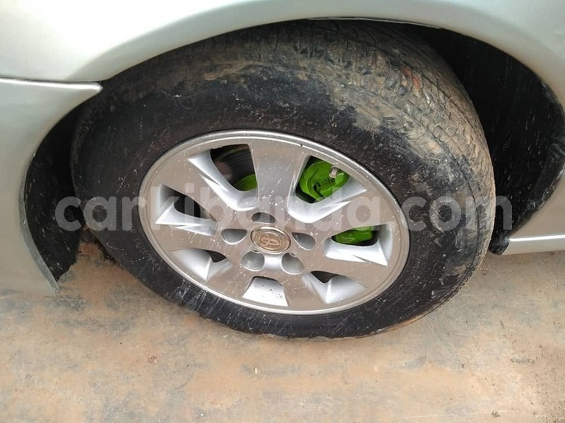 Big with watermark 65428967 1355103981304337 3415406776017747968 n