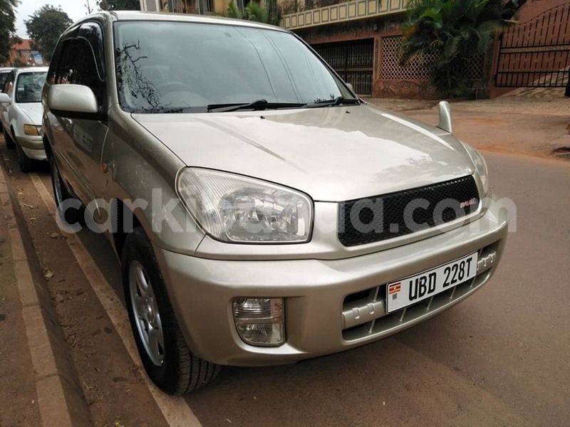 Big with watermark 65180595 1355102607971141 5299734968883216384 n