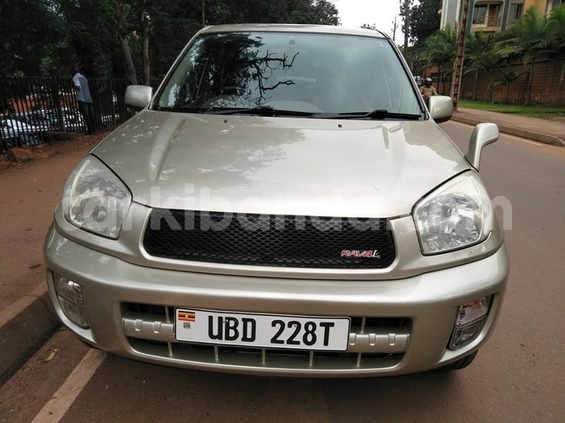 Big with watermark 64645906 1355102557971146 5188309017415385088 n