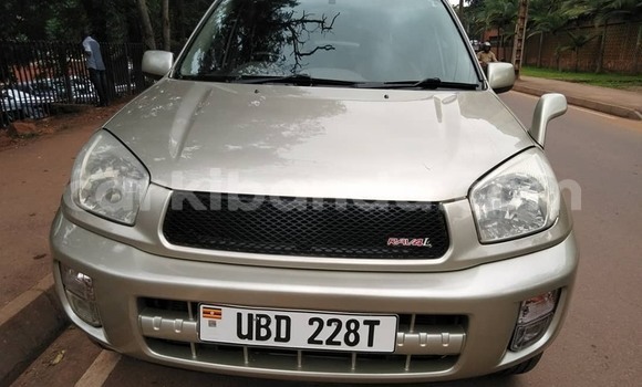 Buy Used Toyota RAV4 Beige Car in Kampala in Uganda Buy Used Toyota RAV4 Beige Car in Kampala in Uganda