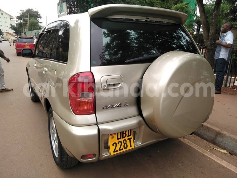 Big with watermark 65056357 1355102427971159 4061450052965498880 n