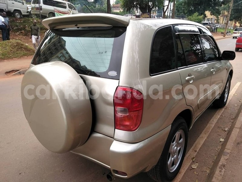 Big with watermark 65178588 1355102384637830 6036047484751446016 n